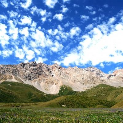 高温黄色预警继续：新疆、陕西、山东、河南等地部分地区最高气温37～39℃