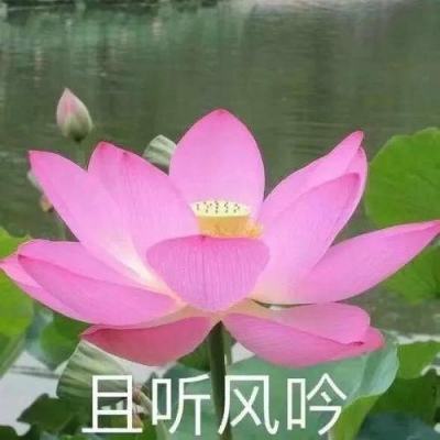 动态海报｜中国正能量：赏锦绣山河，赞大美中国